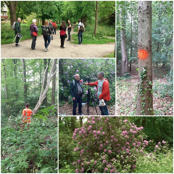 bomen blessen | Park De Leidse Hout