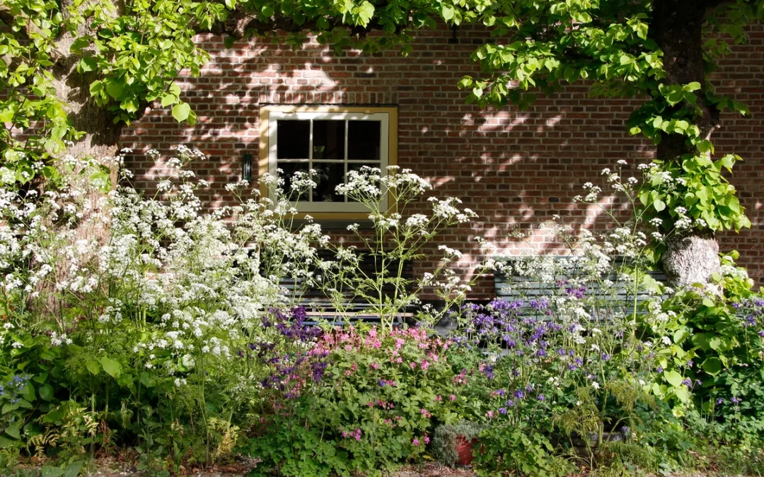 extra natuurexcursies in jubileumjaar 2026